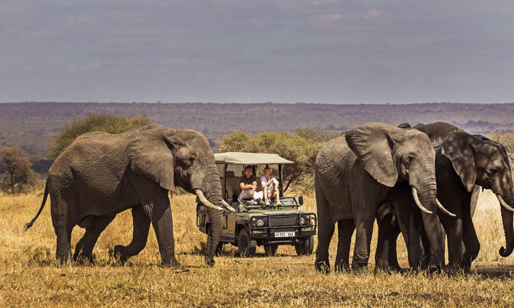 Tanzania Travel Rules 2024: Latest Updates for International Visitors
